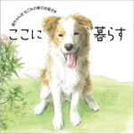 ここに暮らす　～姫ちゃんはなごみの家のお姫さま～